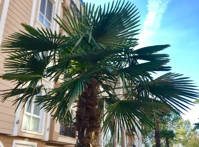 Apartello Modern - Balkan Breeze 7 Apartamento Sunny Beach